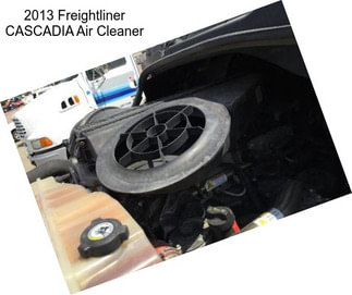 2013 Freightliner CASCADIA Air Cleaner