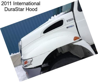 2011 International DuraStar Hood