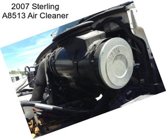 2007 Sterling A8513 Air Cleaner
