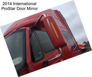 2014 International ProStar Door Mirror