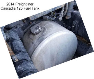 2014 Freightliner Cascadia 125 Fuel Tank