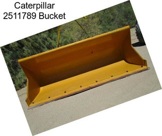 Caterpillar 2511789 Bucket