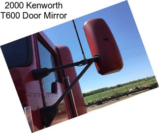 2000 Kenworth T600 Door Mirror