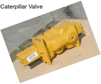 Caterpillar Valve