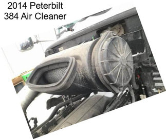 2014 Peterbilt 384 Air Cleaner