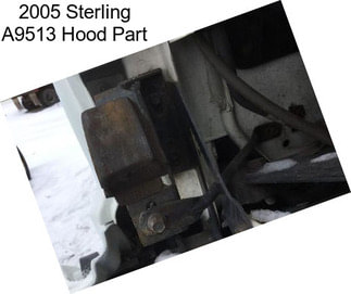 2005 Sterling A9513 Hood Part