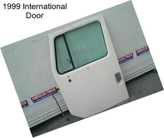 1999 International Door