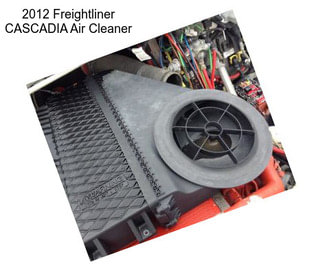 2012 Freightliner CASCADIA Air Cleaner