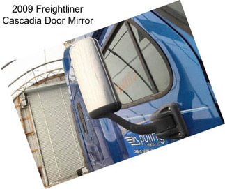 2009 Freightliner Cascadia Door Mirror