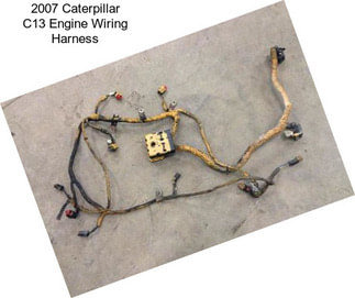 2007 Caterpillar C13 Engine Wiring Harness