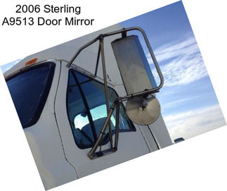 2006 Sterling A9513 Door Mirror