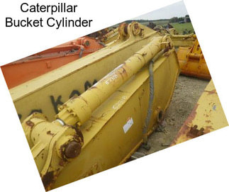 Caterpillar Bucket Cylinder