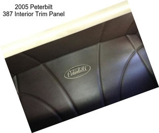 2005 Peterbilt 387 Interior Trim Panel