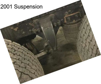 2001 Suspension