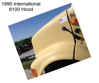 1990 International 8100 Hood