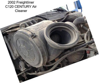 2002 Freightliner C120 CENTURY Air Cleaner