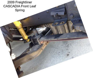 2009 Freightliner CASCADIA Front Leaf Spring