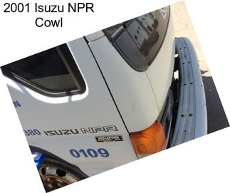 2001 Isuzu NPR Cowl