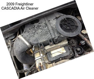 2009 Freightliner CASCADIA Air Cleaner