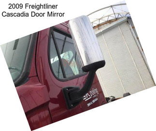 2009 Freightliner Cascadia Door Mirror