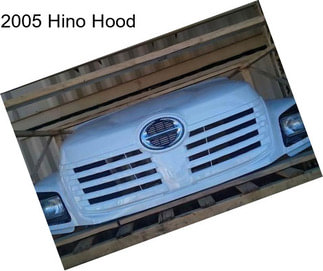 2005 Hino Hood