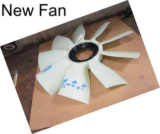 New Fan