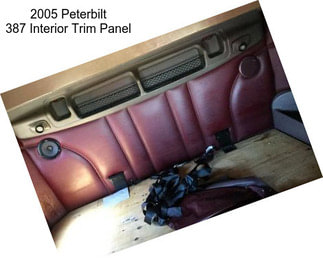 2005 Peterbilt 387 Interior Trim Panel