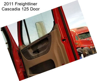 2011 Freightliner Cascadia 125 Door