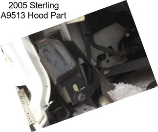 2005 Sterling A9513 Hood Part