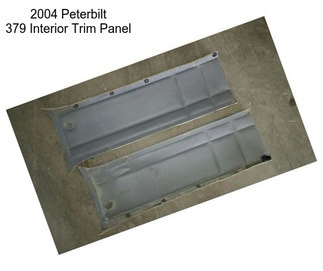 2004 Peterbilt 379 Interior Trim Panel