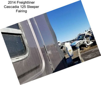 2014 Freightliner Cascadia 125 Sleeper Fairing