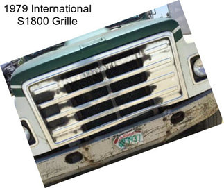 1979 International S1800 Grille
