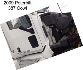 2009 Peterbilt 387 Cowl