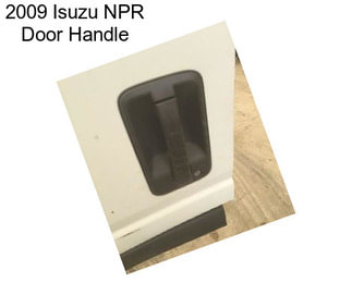 2009 Isuzu NPR Door Handle