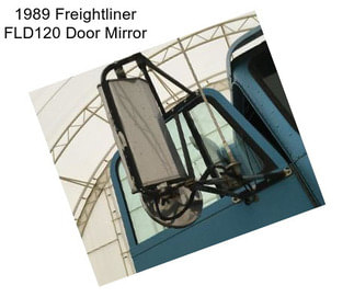 1989 Freightliner FLD120 Door Mirror