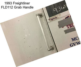 1993 Freightliner FLD112 Grab Handle