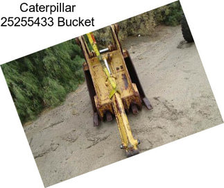 Caterpillar 25255433 Bucket