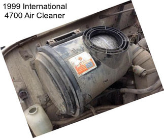 1999 International 4700 Air Cleaner