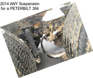 2014 ANY Suspension for a PETERBILT 384