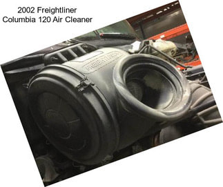 2002 Freightliner Columbia 120 Air Cleaner