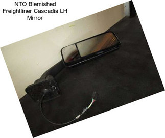 NTO Blemished Freightliner Cascadia LH Mirror