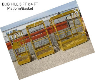 BOB HILL 3 FT x 4 FT Platform/Basket