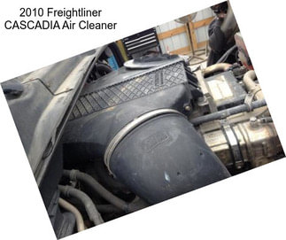 2010 Freightliner CASCADIA Air Cleaner