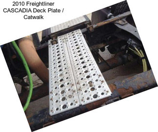 2010 Freightliner CASCADIA Deck Plate / Catwalk