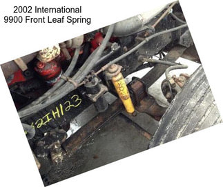 2002 International 9900 Front Leaf Spring