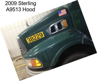 2009 Sterling A9513 Hood