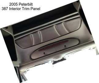 2005 Peterbilt 387 Interior Trim Panel