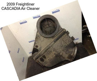 2009 Freightliner CASCADIA Air Cleaner