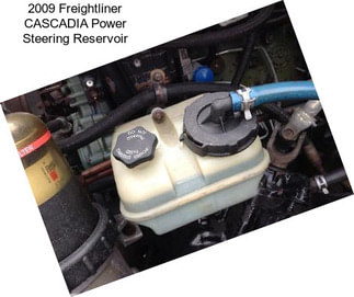 2009 Freightliner CASCADIA Power Steering Reservoir