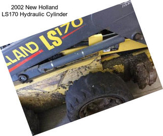 2002 New Holland LS170 Hydraulic Cylinder